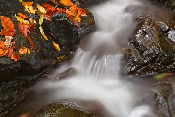 Glen Artney Stream - HDR