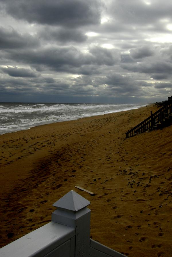 Gloomy landscape