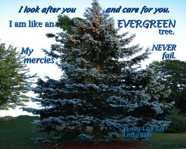 God's Mercies Never Fail