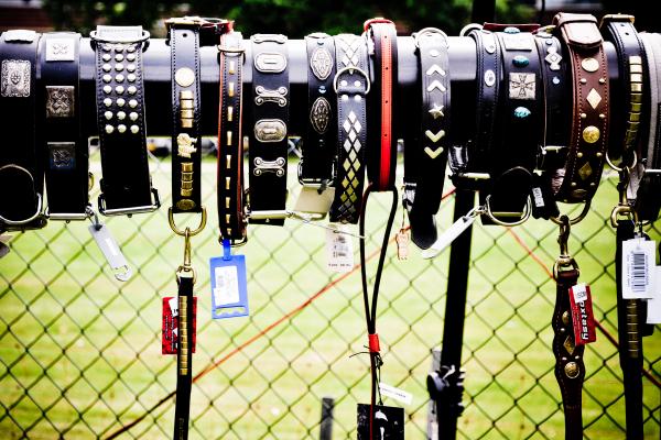 Gog leashes for sale