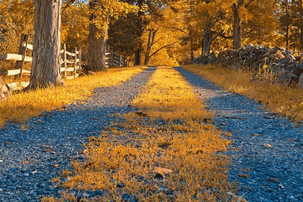 Gold Gravel Road - HDR