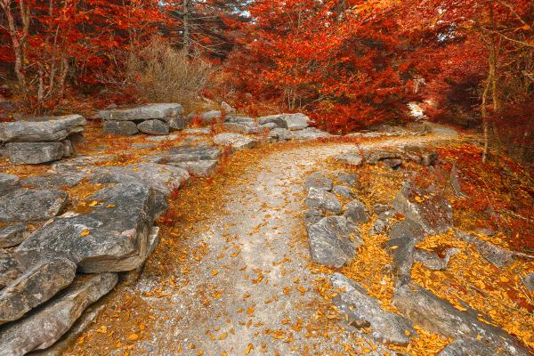 Gold Ruby Rock Trail - HDR