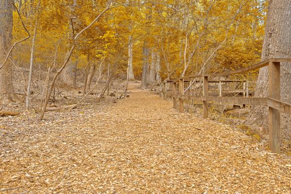 Gold Sanctuary Trail - HDR