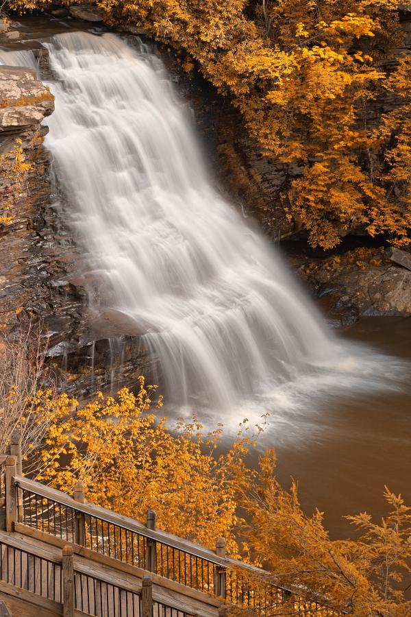 Gold Swallow Falls - HDR