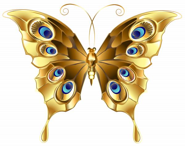 Golden Butterfly