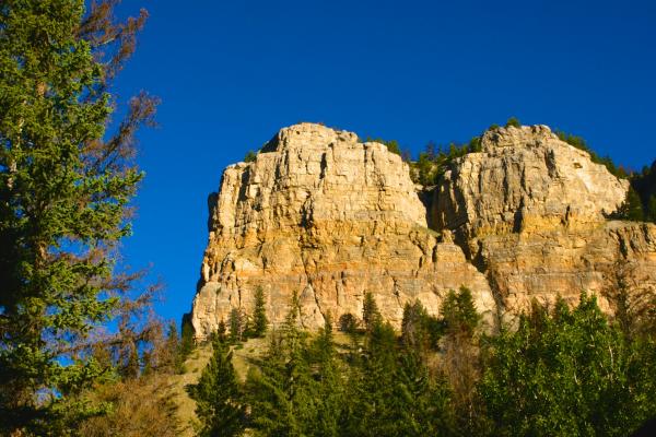 Golden cliff