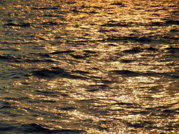 Golden Ocean