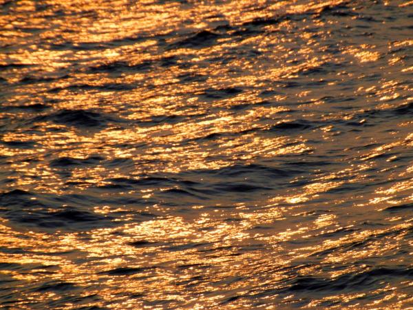 Golden Ocean