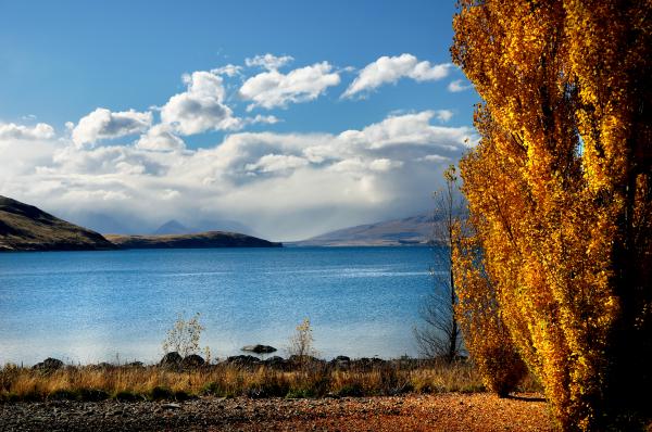 Golden Season (7)