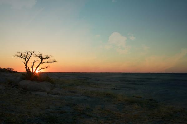 Golden Sunset