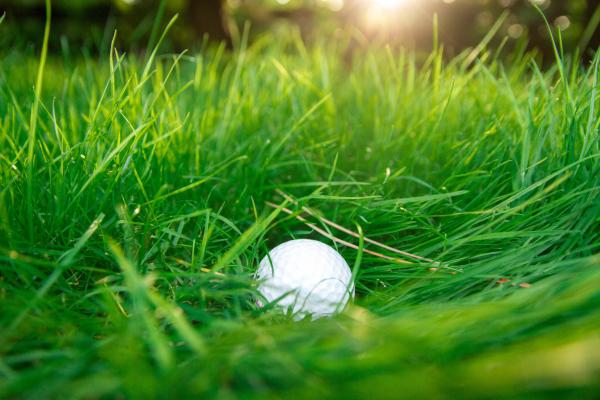 Golf ball in high grass