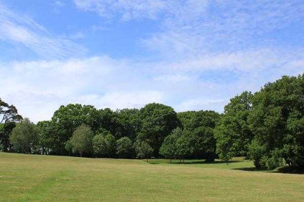 Golf course