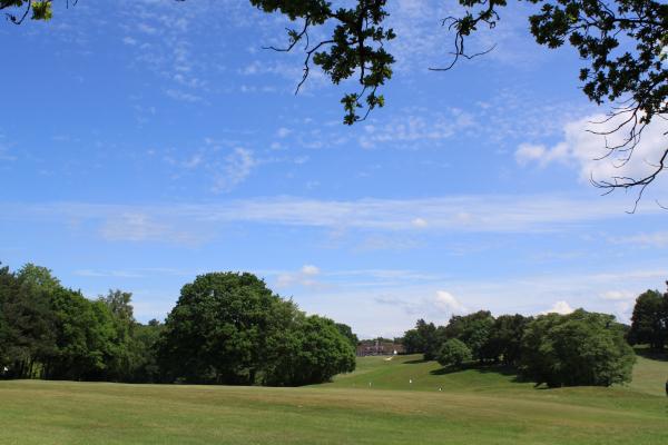 Golf course