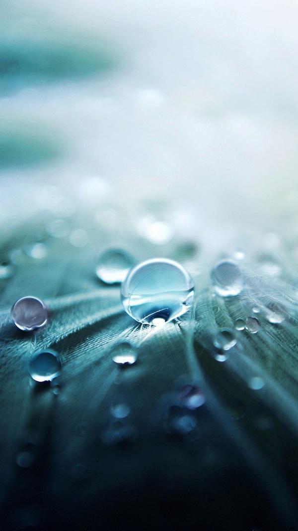 Graceful Waterdrop