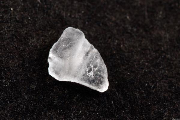 Grain of salt