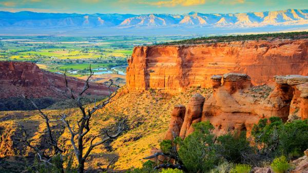 Grand Junction