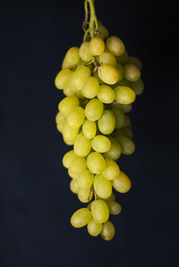 Grapes
