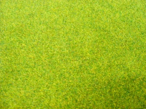 Grass Texture Abstract