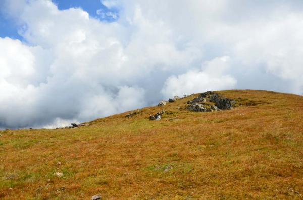 Grasslands of China