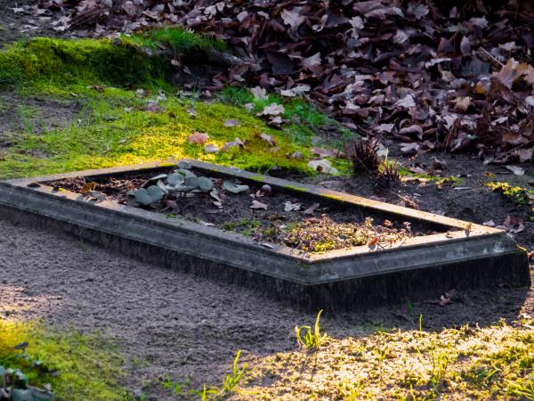 Grave