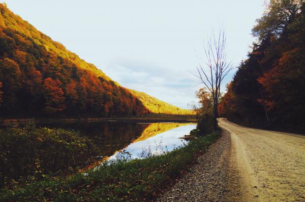 Gravel Road by Scenic Lake