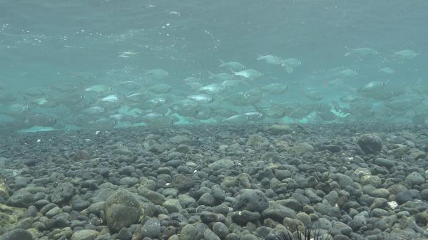 Gravel under water