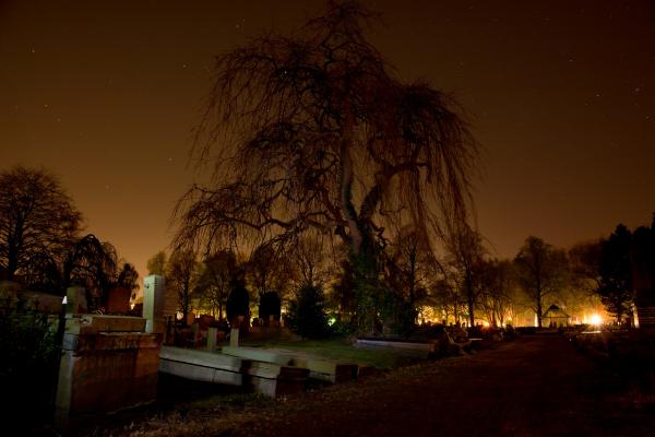 Graveyard in the City