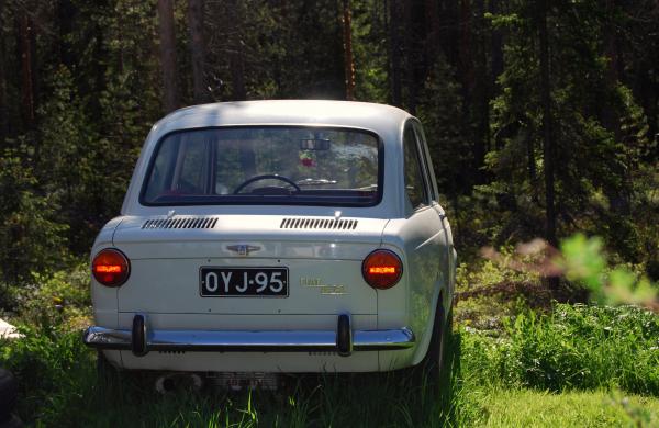 Gray Car Parked in the Forest