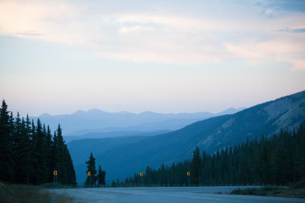 Gray Concrete Road Surrounded by Pine Trees Under Gray Sky