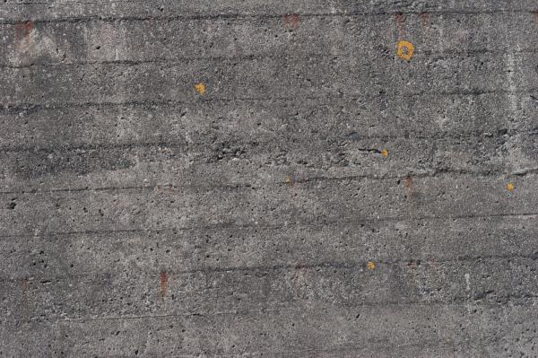 Gray Concrete Texture