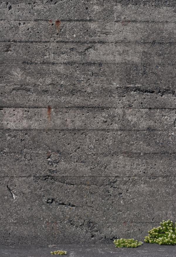 Gray Concrete Texture
