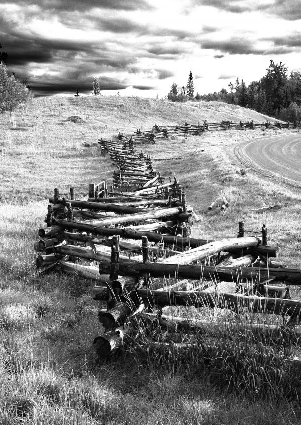 Gray Scale Photography of Brown Wooden Fence