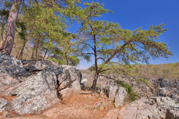 Great Falls Rocks & Foliage