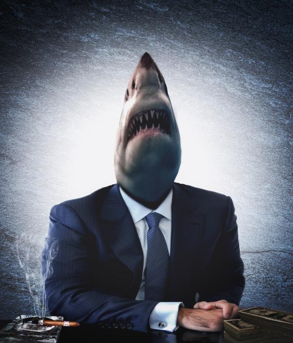 Greedy businessman as a shark