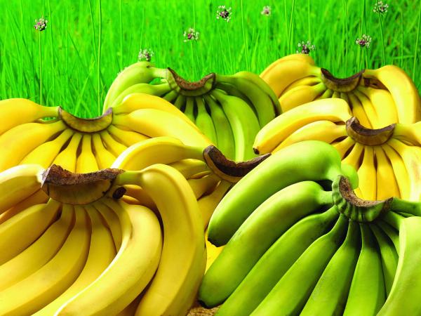 Green Banana Beside Yellow Banana