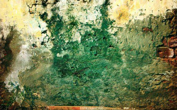 Green dirty wall