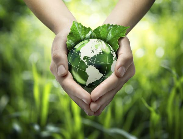 Green Environment