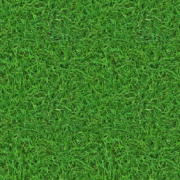 Green Field Texture