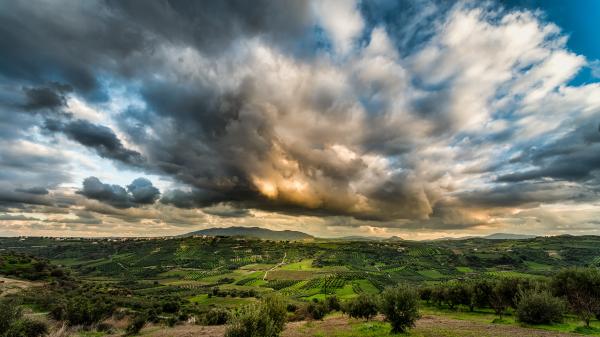 Green Forest Under Cloudy Sky