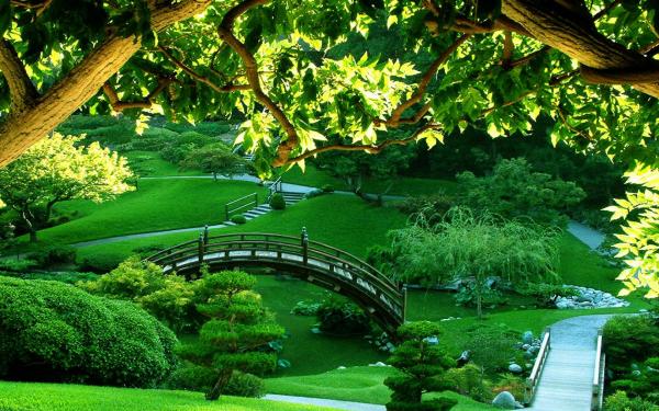Green Garden