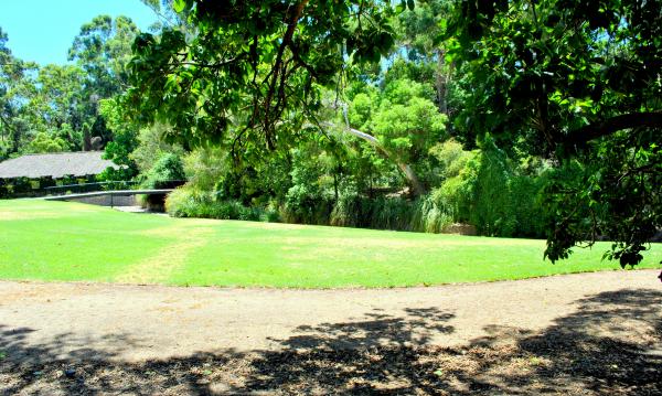 Green Garden