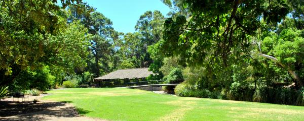 Green Garden