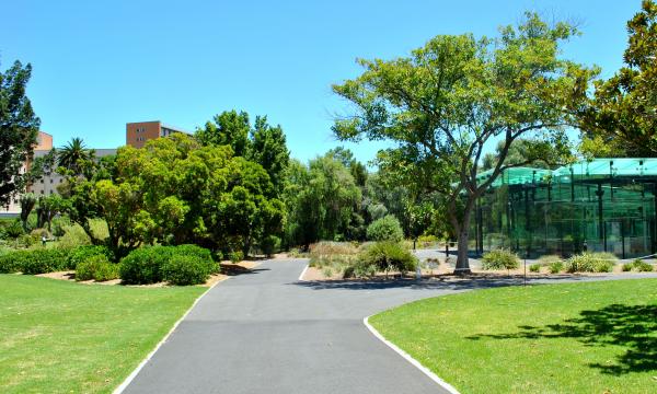 Green Garden