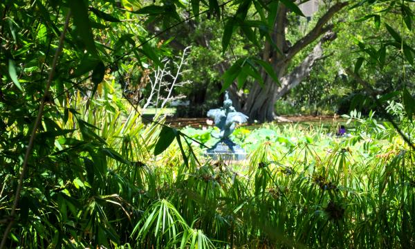 Green Garden