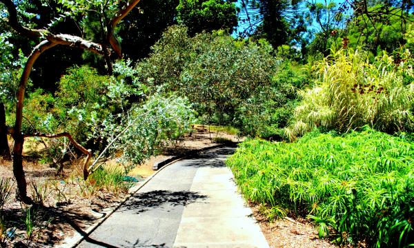 Green Garden