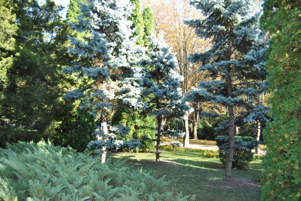 Green Garden