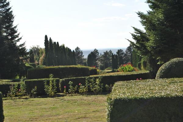 Green Garden