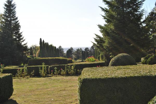 Green Garden