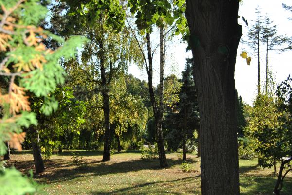 Green Garden