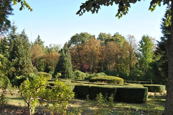 Green Garden